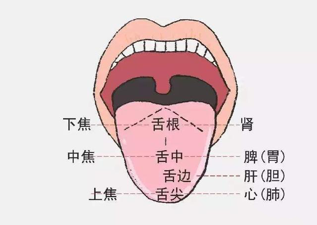 晨起后别急着刷牙伸舌头照镜子身体有些小毛病一看便知