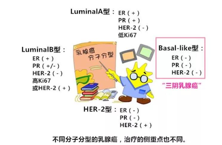 immu132治疗三阴乳腺癌疾病控制率高吗