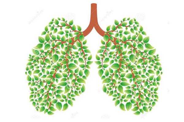 肺癌晚期能活多久？