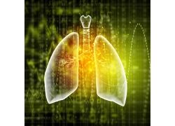 特罗凯/厄洛替尼对肺癌抑制多长时间能见效？