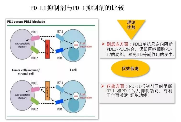 pd1单抗和pdl1单抗有什么区别