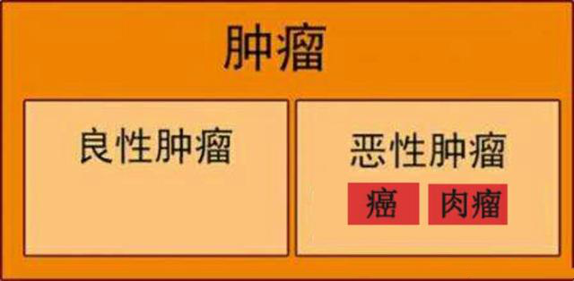 良性腫瘤與惡性腫瘤有什麼區別?惡性腫瘤是癌症嗎?