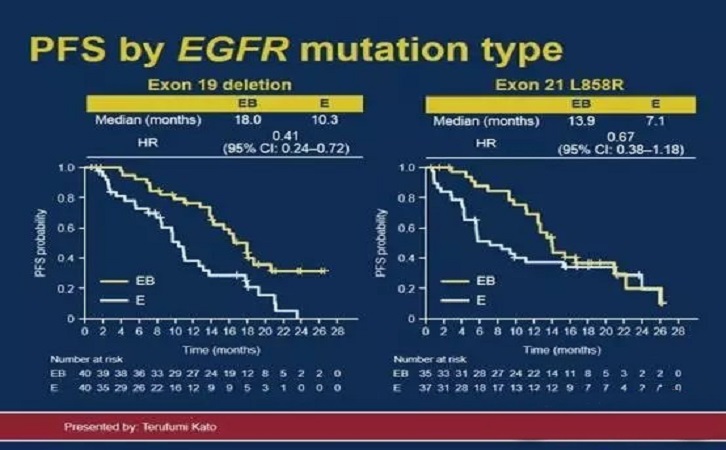 Jmit 肺癌 Jmit 肺癌